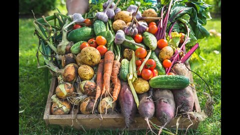 Growing your own food is going to be the new currency Growing Network Marjory Wildcraft