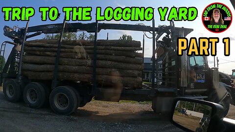 08-04-23 | Trip To The Logging Yard | Part 1