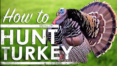 How To Hunt Turkey with Gary Lewis