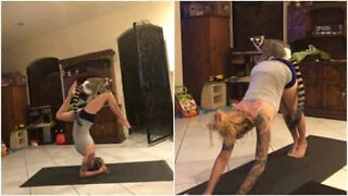 Un lemure che adora fare yoga!