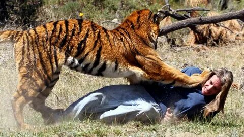 🦁🐘 Greatest Fights in the Animal Kingdom Part 3: Witness Nature's Epic Battles!