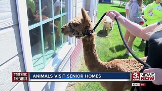 Animals Visit Senior Homes