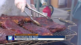 Michigan Rib Fest 2017