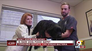 Is raw dog food safe for your pet or your family?