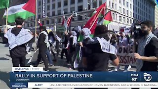 Rally in support of Palestine in Downtown San Diego