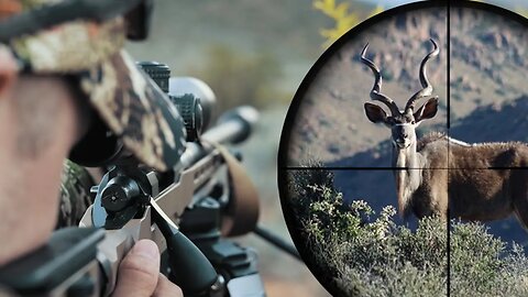This is Hunting In South Africa - Impact Shooting
