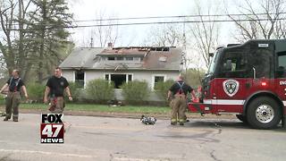 Several pets killed in house fire