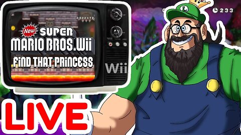 DID YOU FIND THE PRINCESS??? ○ New Super Mario Bros. Wii ROM HACK