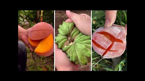 Farm Fresh Ninja Fruit Cutting | Oddly Satisfying Fruit Ninja #04