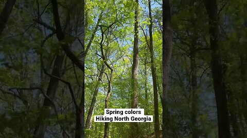 Hiking Sandy Springs “Island Ford Trail” during the rare colors of spring. #spring #hike #georgia