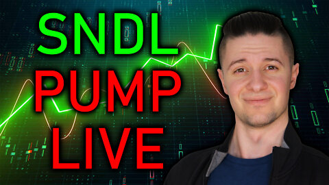 CANNABIS STOCKS PUMP LIVE | LEGALIZATION