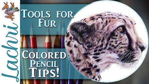 Tools for realistic fur in colored pencil