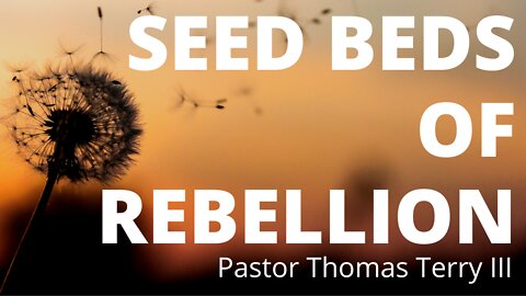 Seed Beds of Rebellion