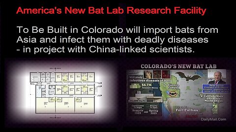 America's New Bat Lab Research Facility To Be Built In Colorado And To Open In 2025