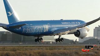 Boeing 787 at LAX Airport