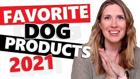 The BEST Dog Products of 2021
