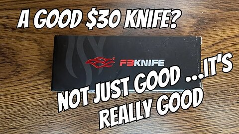 ONE OF THE BEST UNDER $30 KNIVES OUT THERE | IT IS REALLY GOOD