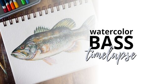 How to Draw a Large Mouth Bass