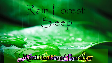 Rainforest Sleep Ambient Sleep