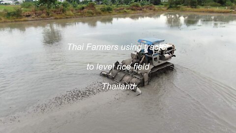 Thai farmer using tractor to level the rice field in Thailand