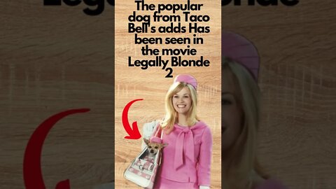 Taco Bell Did WHAT?!😲