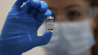 EU Authorizes Use Of Pfizer COVID-19 Vaccine