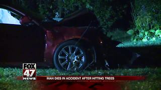 UPDATE: Driver dies after crashing into trees