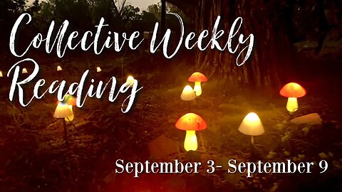 🍄LIVE: Weekly Collective Reading | September 3- September 9