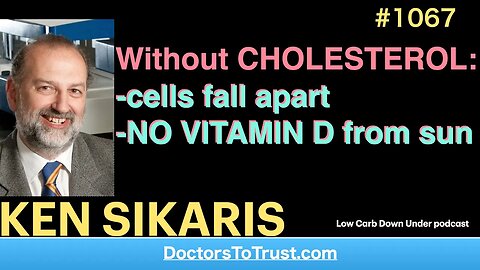 KEN SIKARIS a | Without CHOLESTEROL: -cells fall apart -NO VITAMIN D from sun