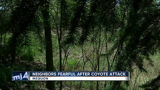 Neighbors fearful after coyote attacks dog