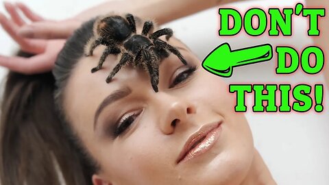 THE CURE? How To Treat Urticating Hairs! (Tarantula)