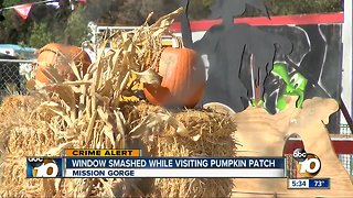 Window smashed while family visits pumpkin patch