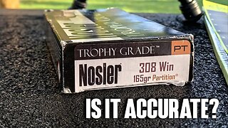 Nosler Partition Trophy Grade .308 165gr (Is It Accurate?)