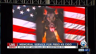 Memorial service held for PBSO deputy K9 Cigo