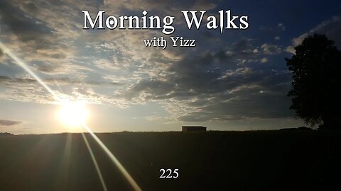Morning Walks with Yizz 225
