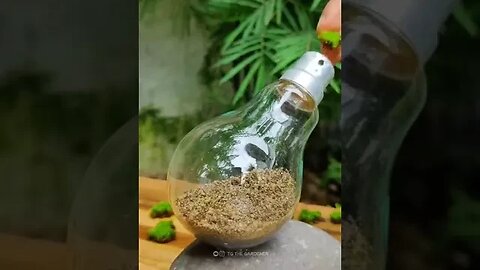 Bulb Terrarium Creativity 😍 #shorts #ytshorts #terrarium #bulb #nature #creativity #naturalbeauty