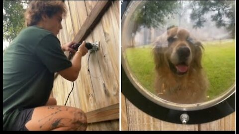 Guy puts window in fence for pup to see through