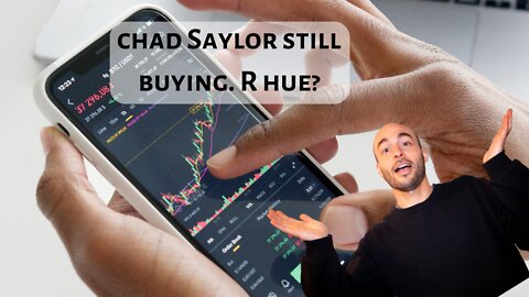 Michael Saylor Buys the Dip AGAIN!