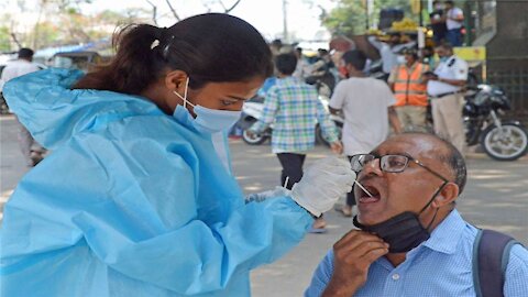 Psychic Focus on Beer Bug Crisis in India