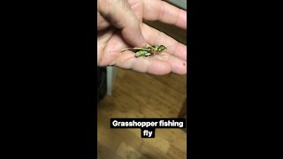 Grasshopper (green)