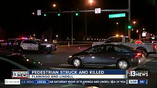 Pedestrian killed near Flamingo and Lindell