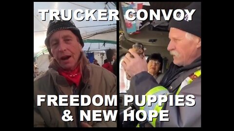 Convoy Update: Freedom Puppies, Renewed Hope for Ottawa Resident, Global News Told off | Feb 16 2022