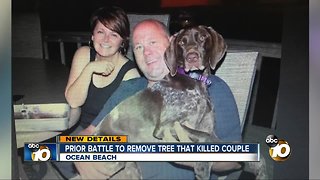 Prior battle to remove tree that killed couple
