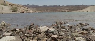 Bacteria at Lake Mohave