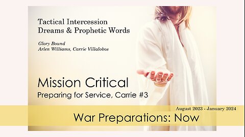 MISSION CRITICAL: WAR PREP, NOW - CARRIE VILLALOBOS #3