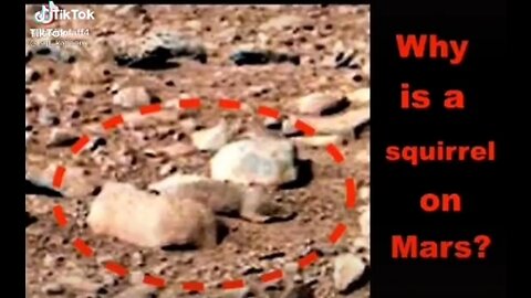 Wait why does MARS have a dead squirrel 🙄🤔 oh yeah because it's actually Canada