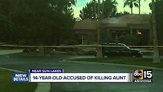 Teen arrested in murder of aunt in Sun Lakes