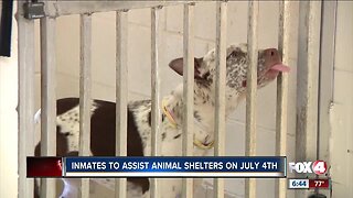Inmates will help calm animals during fireworks