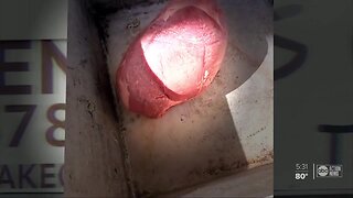 Video shows raw meat in outside sink