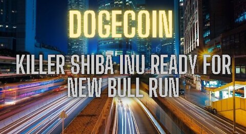 Dogecoin killer Shiba Inu ready for new bull run